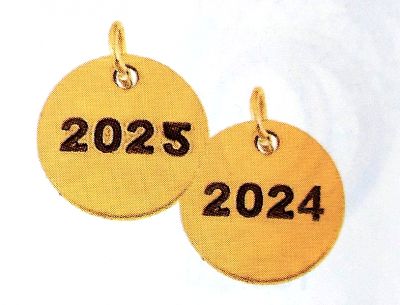  2024 25 